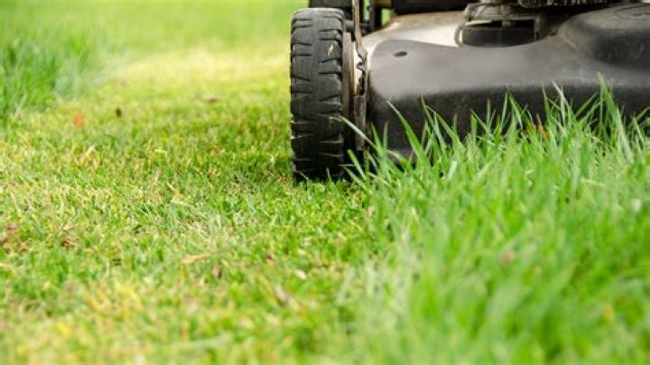 
Blake Miller Death Cause | How Did The Miller Lawn Care Owner Die 