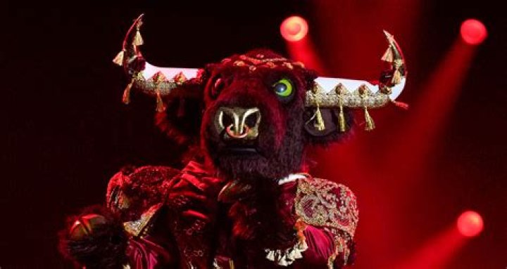 Bull Masked Singer Age, Birthday, Wikipedia, Who, Nationality, Biography