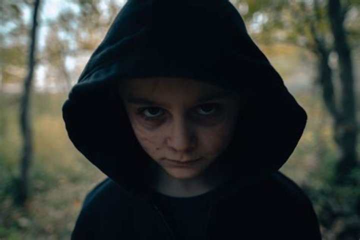 Finlay Wojtak-Hissong Height, Weight, Net Worth, Age, Birthday, Wikipedia, Who, Instagram, Biography