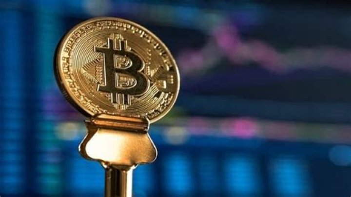 
Kolkata app fraud: ED seizes Bitcoin worth Rs 12.83 crore 