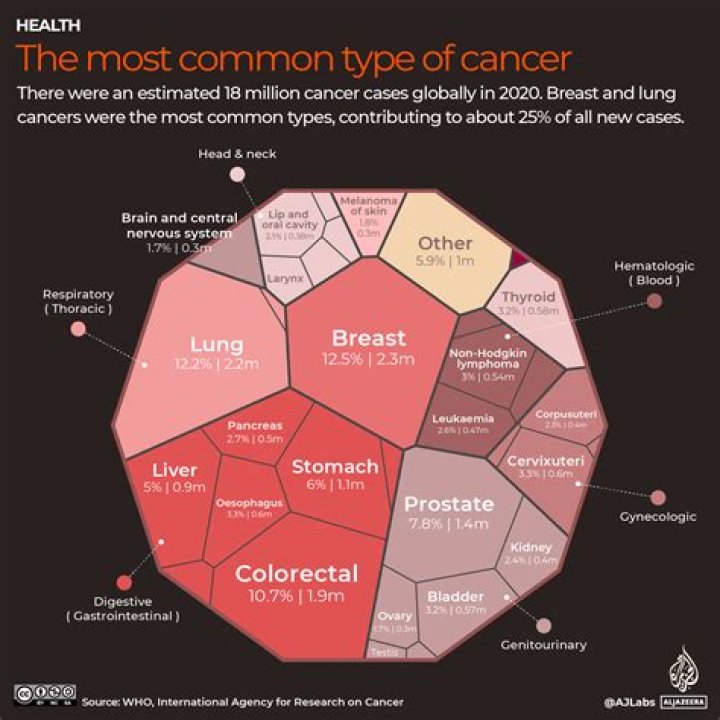 
What Type Of Cancer Does Katie Jarvis Have? Health Problems Explained 