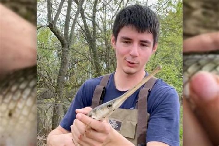 
Who Is Eel Pit Guy on Tiktok? Nick Tobler Makes News As Eel Daddy And Twitter Has Opinions 
